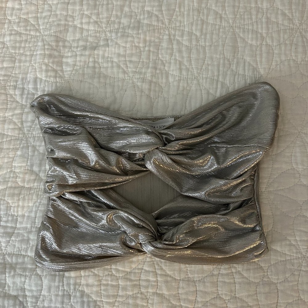Silver Crop Top
